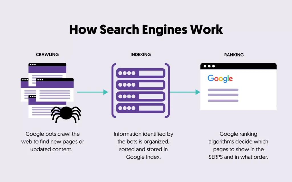 How search engine work